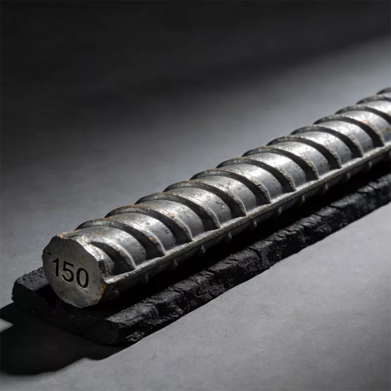 சுருளில் சிதைந்த பட்டை